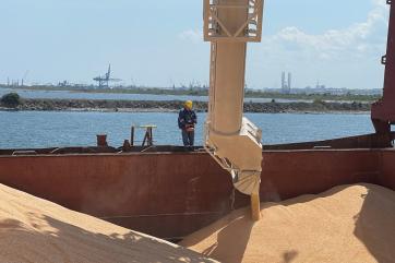 Правительство России определило квоту на экспорт зерна в 2025 году